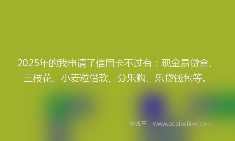 2025年的我申请了信用卡不过有：现金易贷盒、三枝花、小麦粒借款、分乐购、乐贷钱包等。
