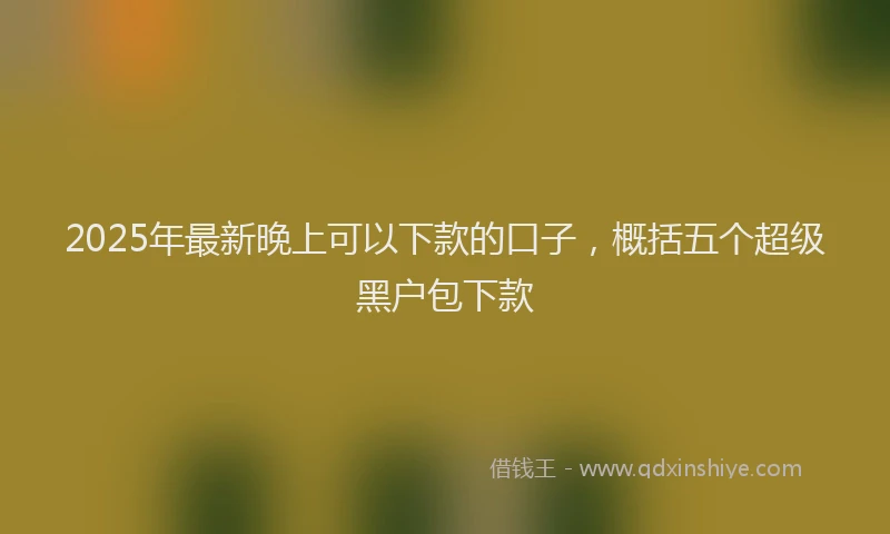 2025年最新晚上可以下款的口子，概括五个超级黑户包下款