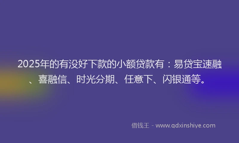 2025年的有没好下款的小额贷款有：易贷宝速融、喜融信、时光分期、任意下、闪银通等。