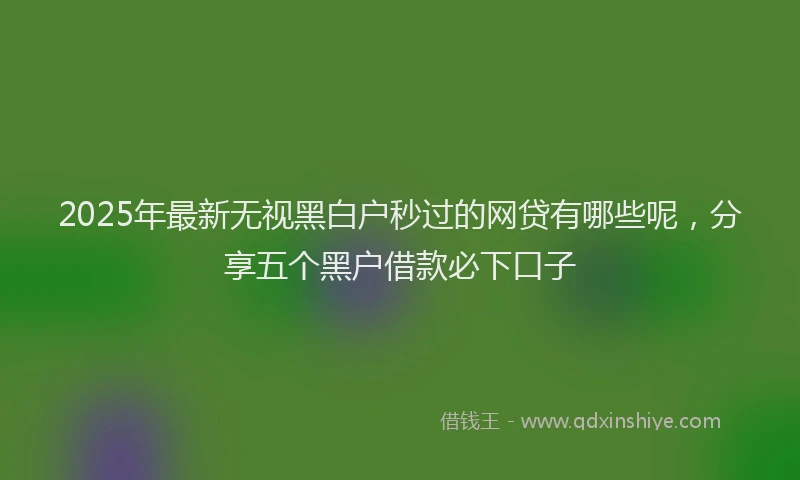 2025年最新无视黑白户秒过的网贷有哪些呢，分享五个黑户借款必下口子
