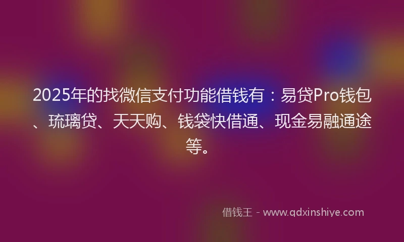 2025年的找微信支付功能借钱有：易贷Pro钱包、琉璃贷、天天购、钱袋快借通、现金易融通途等。