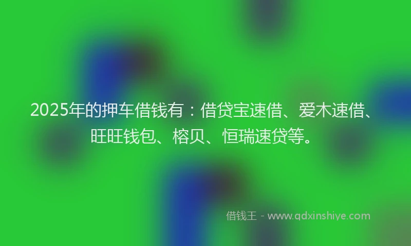 2025年的押车借钱有：借贷宝速借、爱木速借、旺旺钱包、榕贝、恒瑞速贷等。