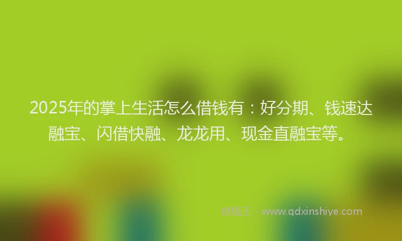 2025年的掌上生活怎么借钱有：好分期、钱速达融宝、闪借快融、龙龙用、现金直融宝等。