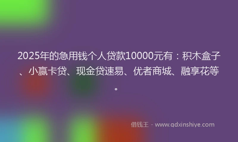 2025年的急用钱个人贷款10000元有：积木盒子、小赢卡贷、现金贷速易、优者商城、融享花等。