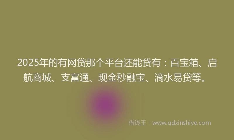 2025年的有网贷那个平台还能贷有：百宝箱、启航商城、支富通、现金秒融宝、滴水易贷等。