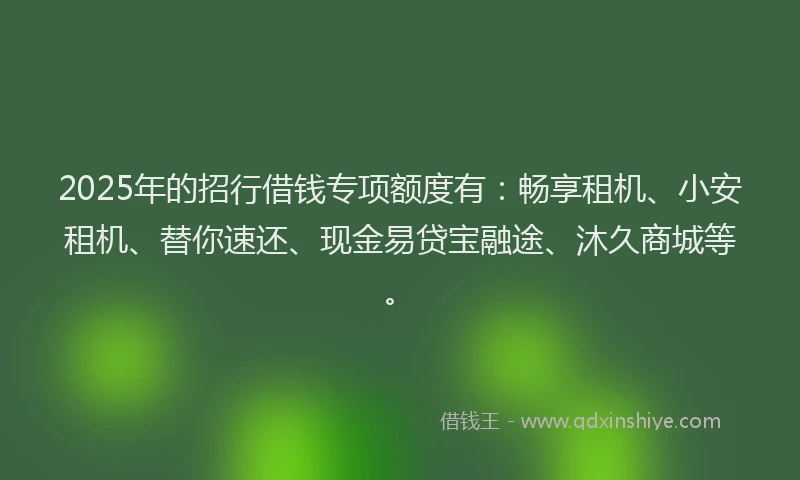 2025年的招行借钱专项额度有：畅享租机、小安租机、替你速还、现金易贷宝融途、沐久商城等。