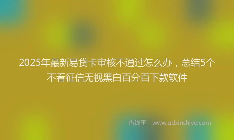 2025年最新易贷卡审核不通过怎么办，总结5个不看征信无视黑白百分百下款软件