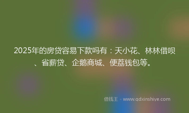 2025年的房贷容易下款吗有：天小花、林林借呗、省薪贷、企鹅商城、便荔钱包等。