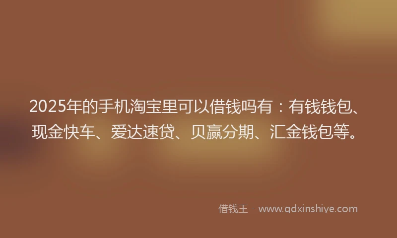 2025年的手机淘宝里可以借钱吗有：有钱钱包、现金快车、爱达速贷、贝赢分期、汇金钱包等。