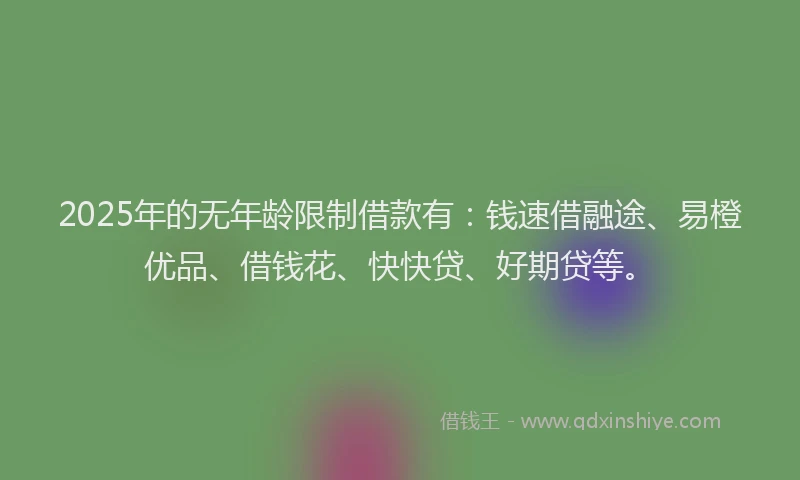 2025年的无年龄限制借款有：钱速借融途、易橙优品、借钱花、快快贷、好期贷等。