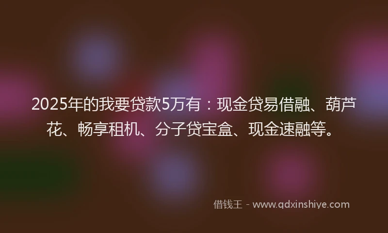 2025年的我要贷款5万有：现金贷易借融、葫芦花、畅享租机、分子贷宝盒、现金速融等。