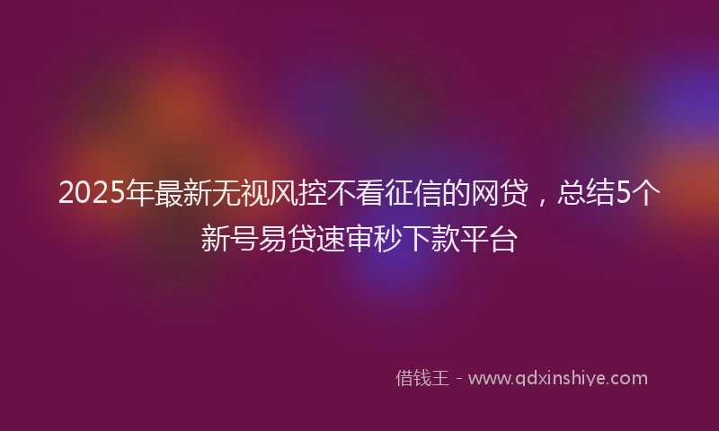 2025年最新无视风控不看征信的网贷，总结5个新号易贷速审秒下款平台