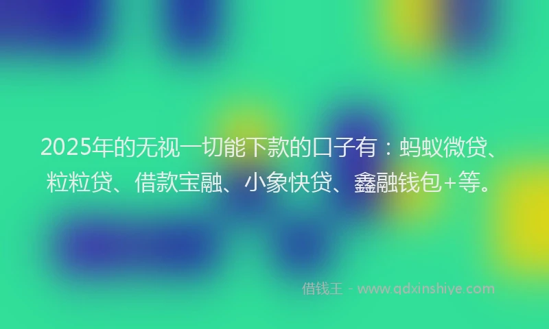 2025年的无视一切能下款的口子有：蚂蚁微贷、粒粒贷、借款宝融、小象快贷、鑫融钱包+等。