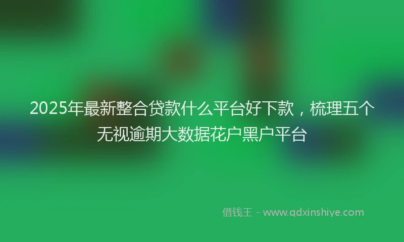 2025年最新整合贷款什么平台好下款，梳理五个无视逾期大数据花户黑户平台