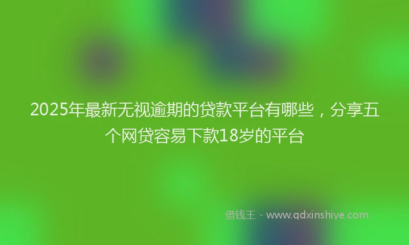 2025年最新无视逾期的贷款平台有哪些，分享五个网贷容易下款18岁的平台
