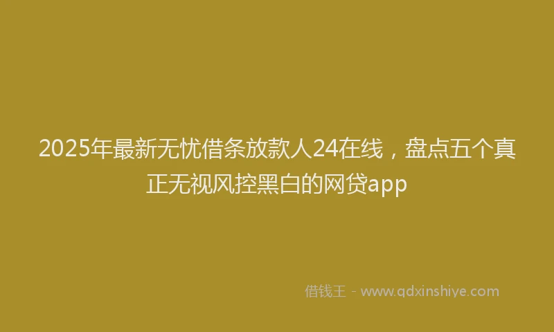 2025年最新无忧借条放款人24在线，盘点五个真正无视风控黑白的网贷app