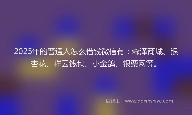 2025年的普通人怎么借钱微信有：森泽商城、银杏花、祥云钱包、小金鸽、银票网等。