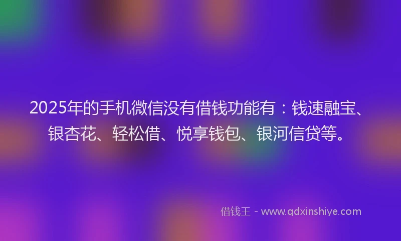 2025年的手机微信没有借钱功能有：钱速融宝、银杏花、轻松借、悦享钱包、银河信贷等。