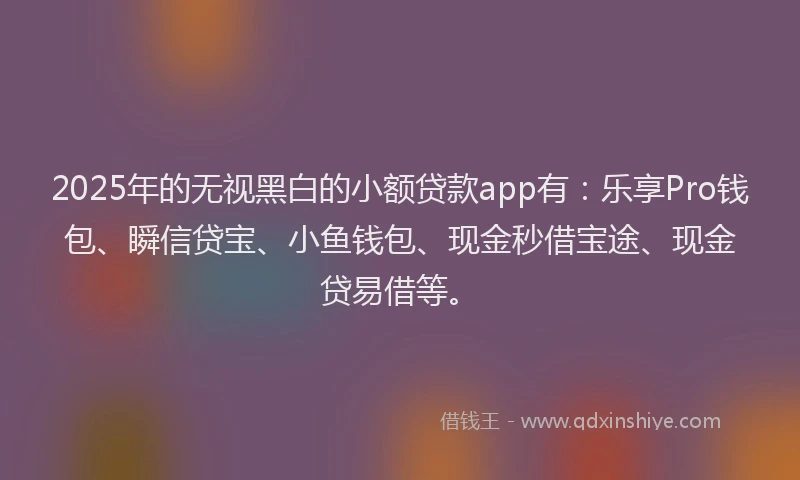 2025年的无视黑白的小额贷款app有：乐享Pro钱包、瞬信贷宝、小鱼钱包、现金秒借宝途、现金贷易借等。