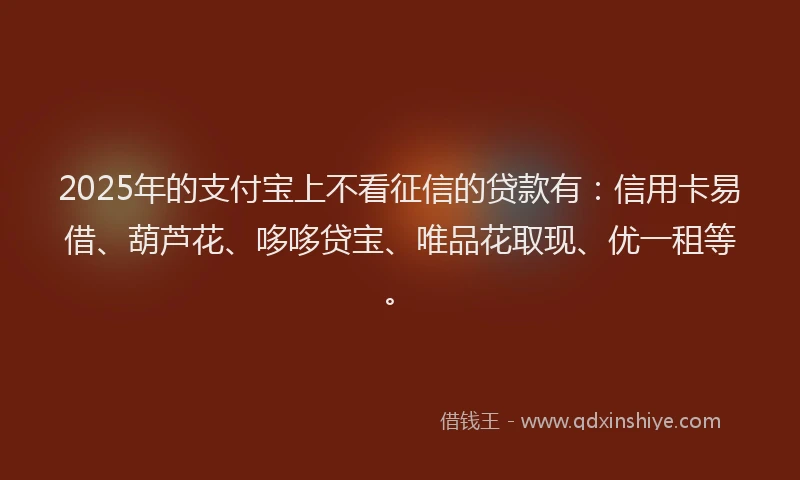 2025年的支付宝上不看征信的贷款有：信用卡易借、葫芦花、哆哆贷宝、唯品花取现、优一租等。
