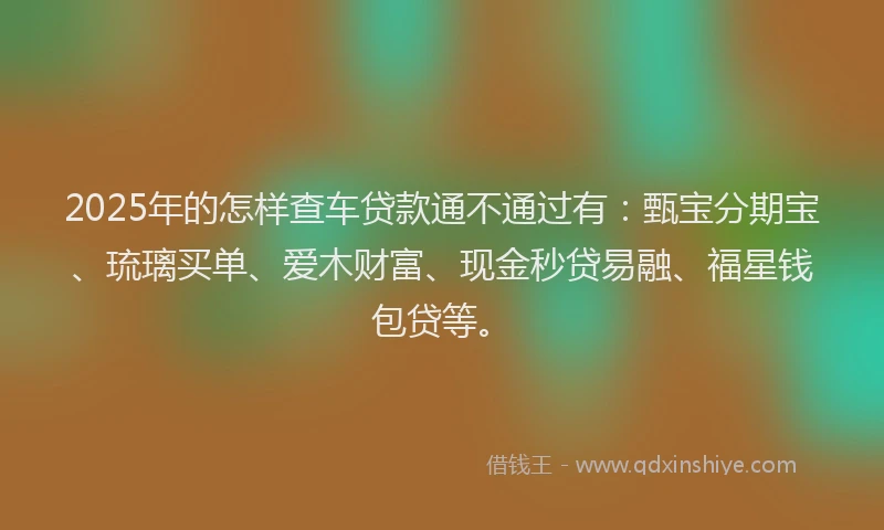 2025年的怎样查车贷款通不通过有：甄宝分期宝、琉璃买单、爱木财富、现金秒贷易融、福星钱包贷等。