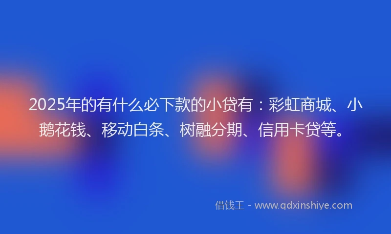 2025年的有什么必下款的小贷有：彩虹商城、小鹅花钱、移动白条、树融分期、信用卡贷等。