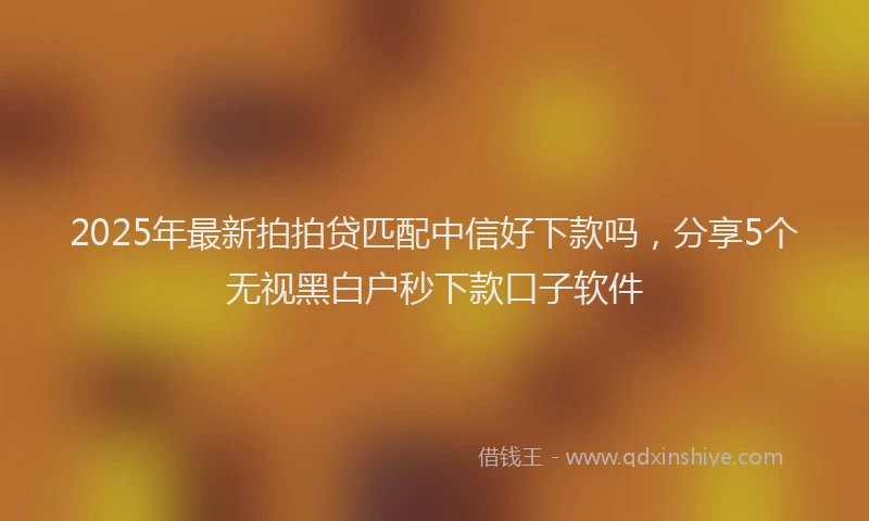 2025年最新拍拍贷匹配中信好下款吗，分享5个无视黑白户秒下款口子软件