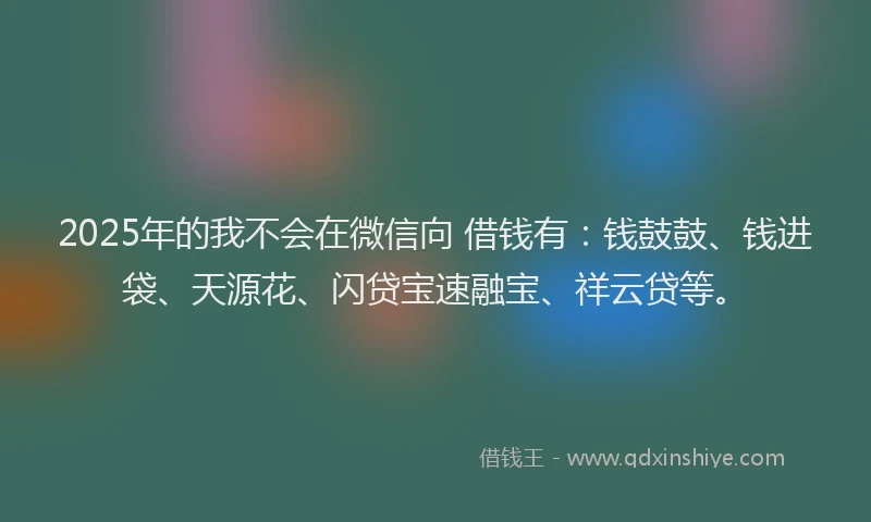2025年的我不会在微信向 借钱有：钱鼓鼓、钱进袋、天源花、闪贷宝速融宝、祥云贷等。