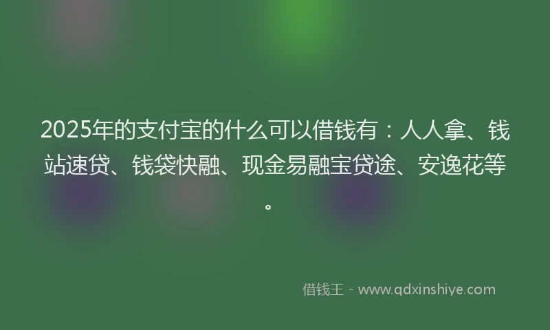 2025年的支付宝的什么可以借钱有：人人拿、钱站速贷、钱袋快融、现金易融宝贷途、安逸花等。