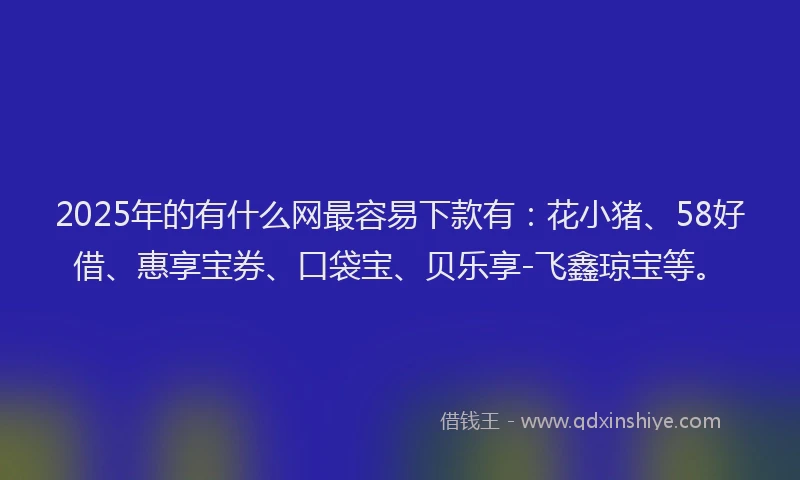 2025年的有什么网最容易下款有：花小猪、58好借、惠享宝券、口袋宝、贝乐享-飞鑫琼宝等。