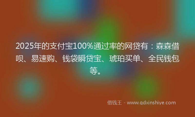 2025年的支付宝100%通过率的网贷有：森森借呗、易速购、钱袋瞬贷宝、琥珀买单、全民钱包等。