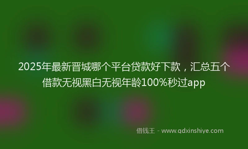 2025年最新晋城哪个平台贷款好下款，汇总五个借款无视黑白无视年龄100%秒过app