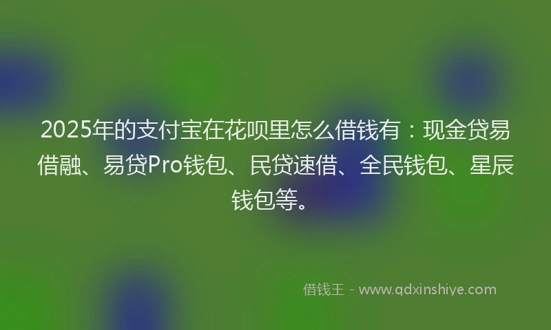2025年的支付宝在花呗里怎么借钱有:现金贷易借融、易贷Pro钱包、民贷速借、全民钱包、星辰钱包等。