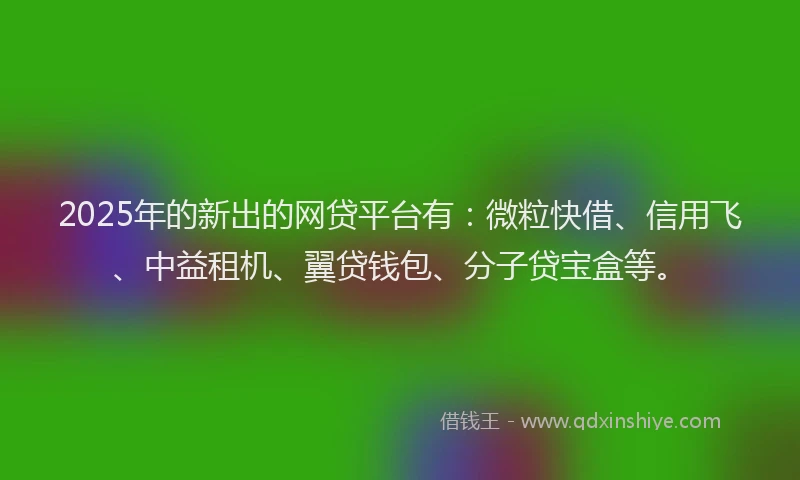 2025年的新出的网贷平台有：微粒快借、信用飞、中益租机、翼贷钱包、分子贷宝盒等。