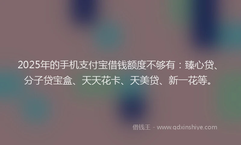 2025年的手机支付宝借钱额度不够有：臻心贷、分子贷宝盒、天天花卡、天美贷、新一花等。