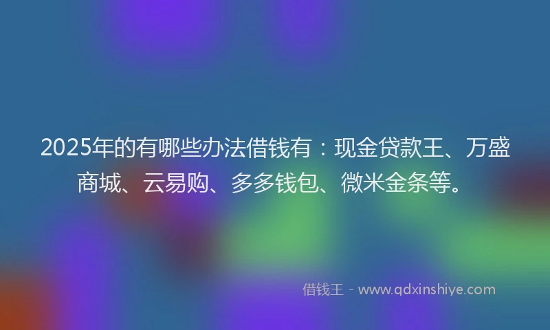 2025年的有哪些办法借钱有：现金贷款王、万盛商城、云易购、多多钱包、微米金条等。