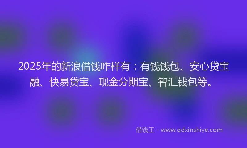 2025年的新浪借钱咋样有：有钱钱包、安心贷宝融、快易贷宝、现金分期宝、智汇钱包等。