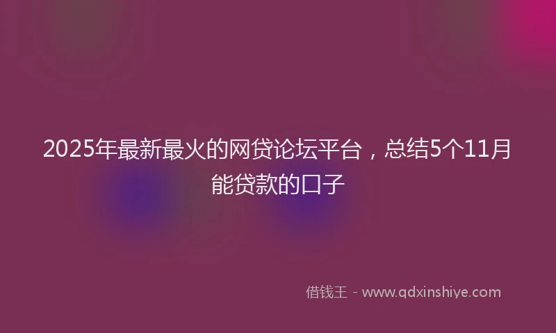 2025年最新最火的网贷论坛平台，总结5个11月能贷款的口子