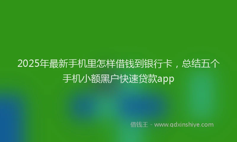 2025年最新手机里怎样借钱到银行卡，总结五个手机小额黑户快速贷款app