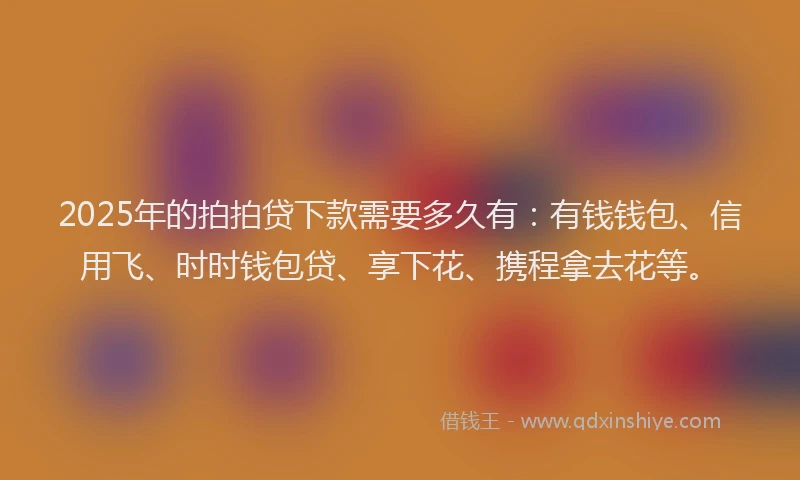 2025年的拍拍贷下款需要多久有：有钱钱包、信用飞、时时钱包贷、享下花、携程拿去花等。