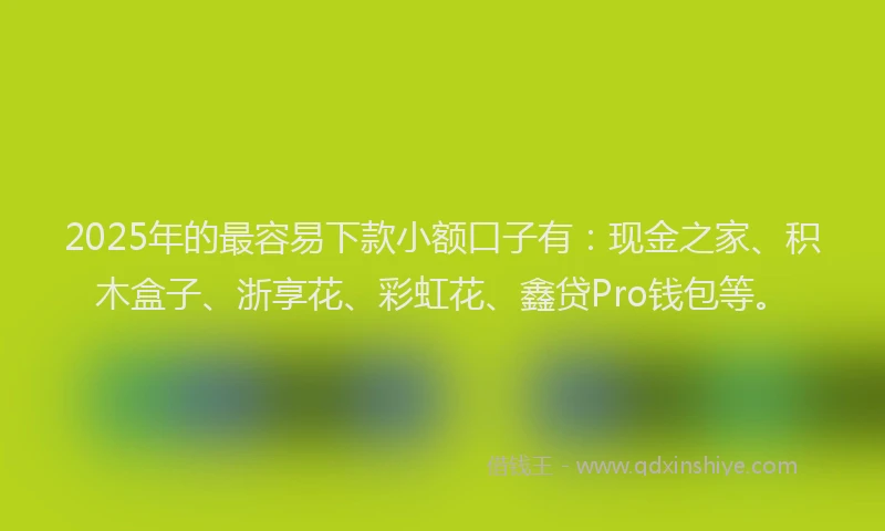 2025年的最容易下款小额口子有：现金之家、积木盒子、浙享花、彩虹花、鑫贷Pro钱包等。