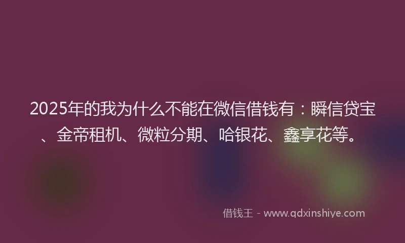2025年的我为什么不能在微信借钱有：瞬信贷宝、金帝租机、微粒分期、哈银花、鑫享花等。