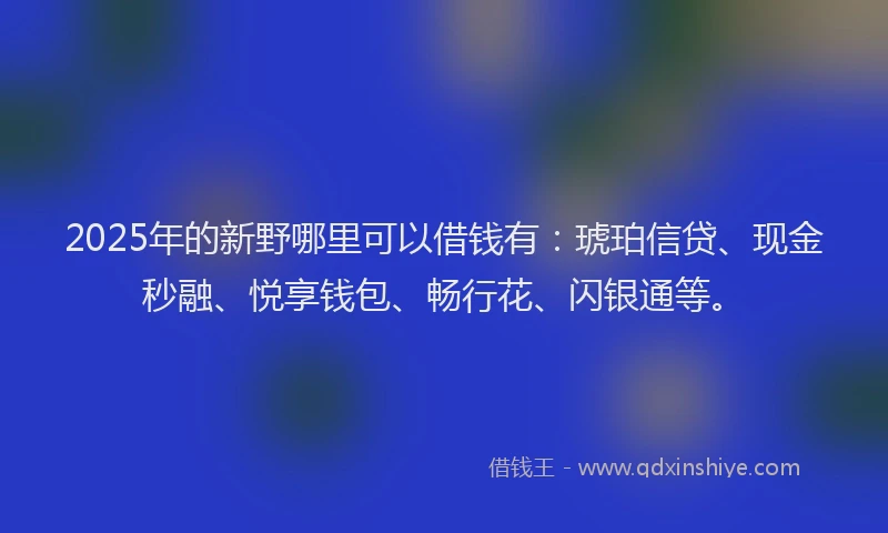 2025年的新野哪里可以借钱有：琥珀信贷、现金秒融、悦享钱包、畅行花、闪银通等。