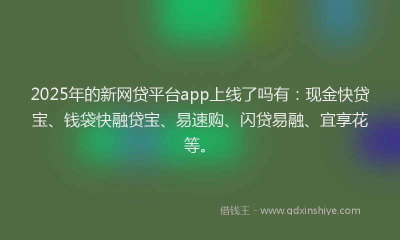 2025年的新网贷平台app上线了吗有：现金快贷宝、钱袋快融贷宝、易速购、闪贷易融、宜享花等。