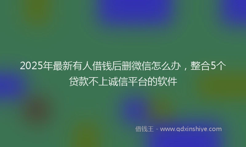 2025年最新有人借钱后删微信怎么办，整合5个贷款不上诚信平台的软件