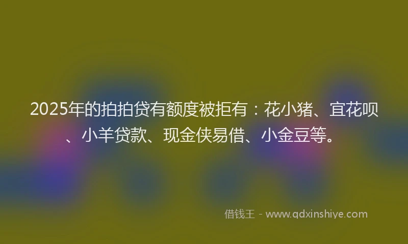 2025年的拍拍贷有额度被拒有：花小猪、宜花呗、小羊贷款、现金侠易借、小金豆等。