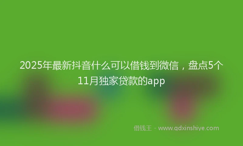 2025年最新抖音什么可以借钱到微信，盘点5个11月独家贷款的app