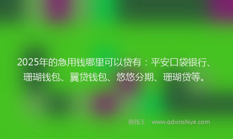 2025年的急用钱哪里可以贷有：平安口袋银行、珊瑚钱包、翼贷钱包、悠悠分期、珊瑚贷等。