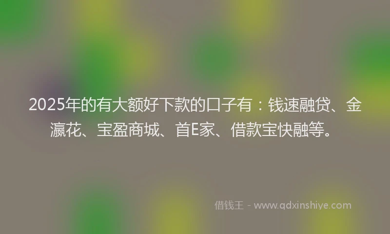 2025年的有大额好下款的口子有：钱速融贷、金瀛花、宝盈商城、首E家、借款宝快融等。