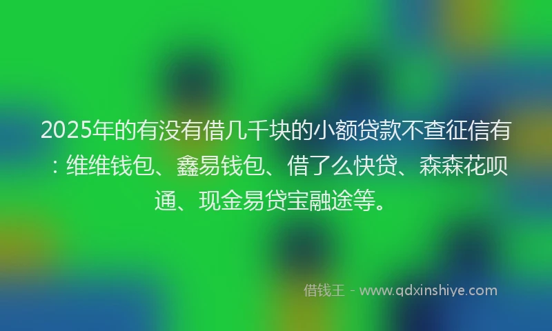 2025年的有没有借几千块的小额贷款不查征信有：维维钱包、鑫易钱包、借了么快贷、森森花呗通、现金易贷宝融途等。